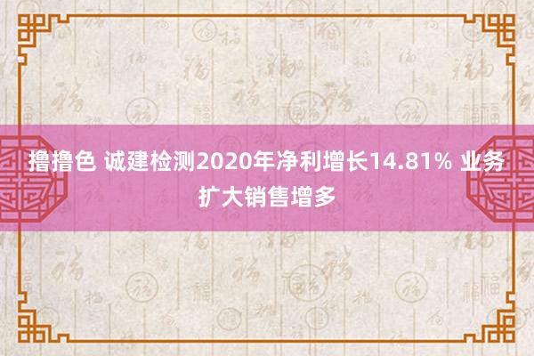 撸撸色 诚建检测2020年净利增长14.81% 业务扩大销售增多