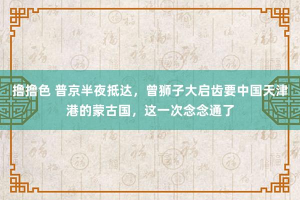 撸撸色 普京半夜抵达，曾狮子大启齿要中国天津港的蒙古国，这一次念念通了