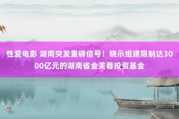 性爱电影 湖南突发重磅信号！晓示组建限制达3000亿元的湖南省金芙蓉投资基金