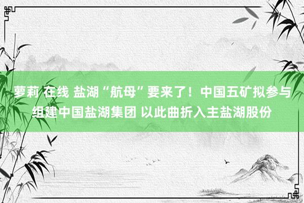 萝莉 在线 盐湖“航母”要来了！中国五矿拟参与组建中国盐湖集团 以此曲折入主盐湖股份