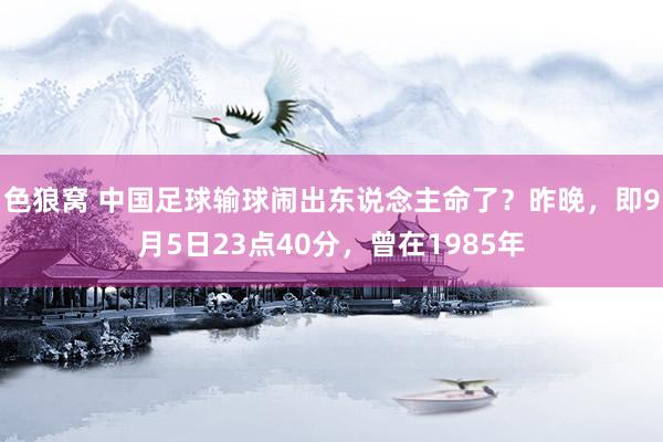 色狼窝 中国足球输球闹出东说念主命了？昨晚，即9月5日23点40分，曾在1985年