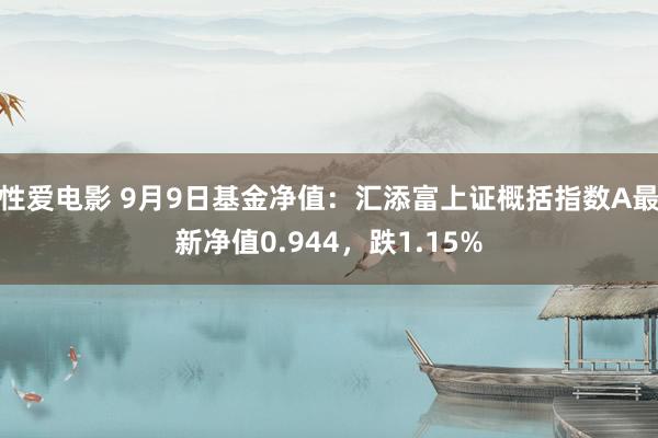 性爱电影 9月9日基金净值：汇添富上证概括指数A最新净值0.944，跌1.15%