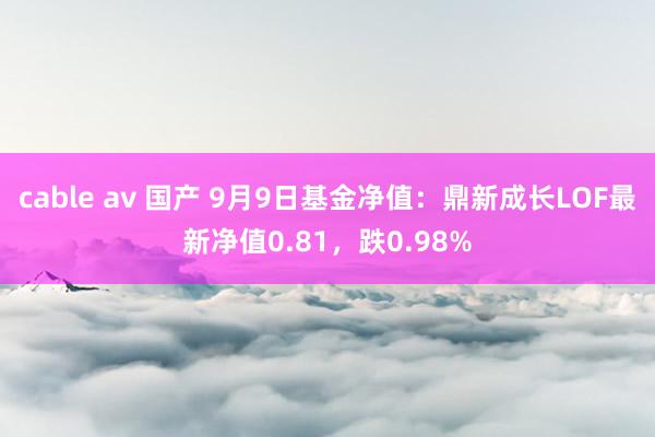 cable av 国产 9月9日基金净值：鼎新成长LOF最新净值0.81，跌0.98%