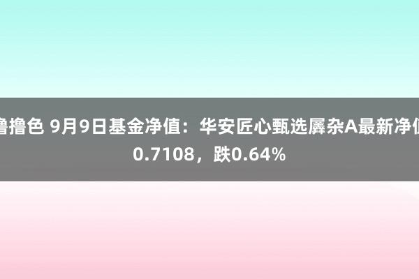 撸撸色 9月9日基金净值：华安匠心甄选羼杂A最新净值0.7108，跌0.64%