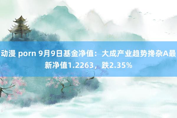 动漫 porn 9月9日基金净值：大成产业趋势搀杂A最新净值1.2263，跌2.35%