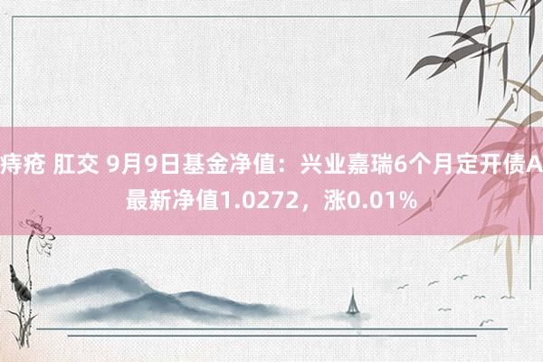 痔疮 肛交 9月9日基金净值：兴业嘉瑞6个月定开债A最新净值1.0272，涨0.01%