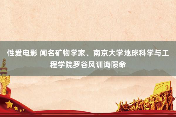 性爱电影 闻名矿物学家、南京大学地球科学与工程学院罗谷风训诲陨命