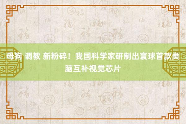 母狗 调教 新粉碎！我国科学家研制出寰球首款类脑互补视觉芯片