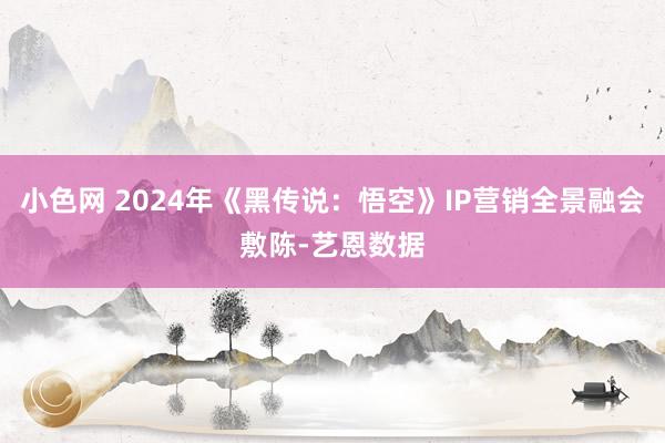 小色网 2024年《黑传说：悟空》IP营销全景融会敷陈-艺恩数据