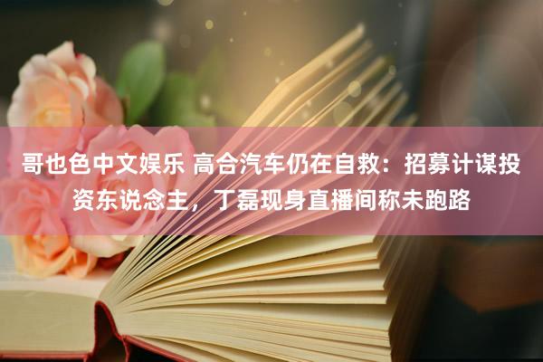 哥也色中文娱乐 高合汽车仍在自救：招募计谋投资东说念主，丁磊现身直播间称未跑路