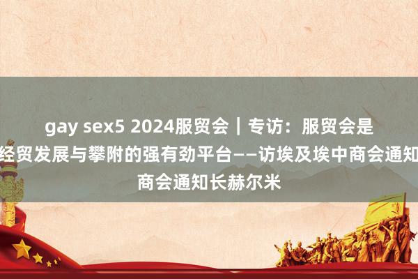 gay sex5 2024服贸会｜专访：服贸会是鼓动群众经贸发展与攀附的强有劲平台——访埃及埃中商会通知长赫尔米