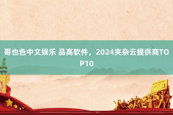 哥也色中文娱乐 品高软件，2024夹杂云提供商TOP10