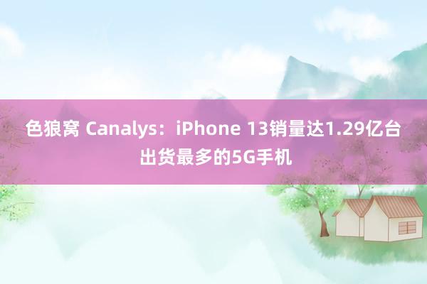 色狼窝 Canalys：iPhone 13销量达1.29亿台 出货最多的5G手机