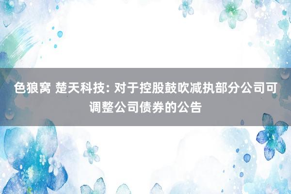 色狼窝 楚天科技: 对于控股鼓吹减执部分公司可调整公司债券的公告