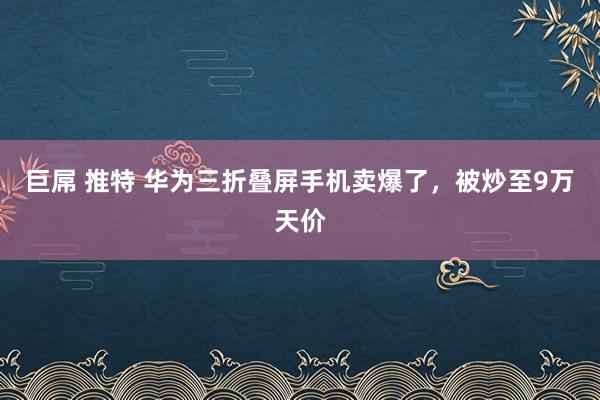 巨屌 推特 华为三折叠屏手机卖爆了，被炒至9万天价