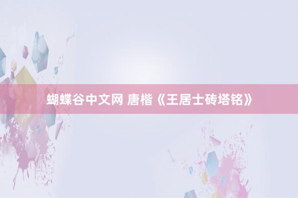 蝴蝶谷中文网 唐楷《王居士砖塔铭》