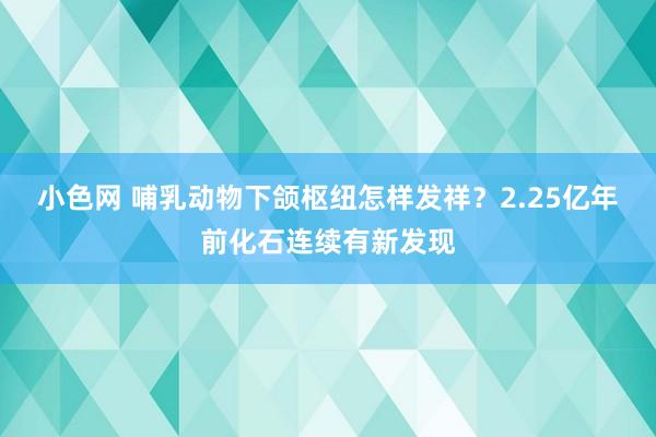 小色网 哺乳动物下颌枢纽怎样发祥？2.25亿年前化石连续有新发现