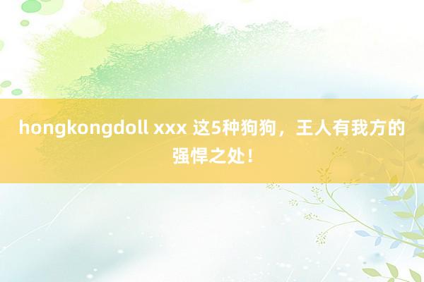 hongkongdoll xxx 这5种狗狗，王人有我方的强悍之处！