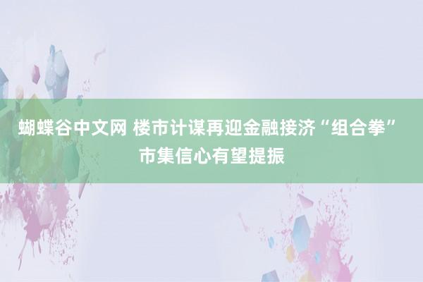 蝴蝶谷中文网 楼市计谋再迎金融接济“组合拳” 市集信心有望提振