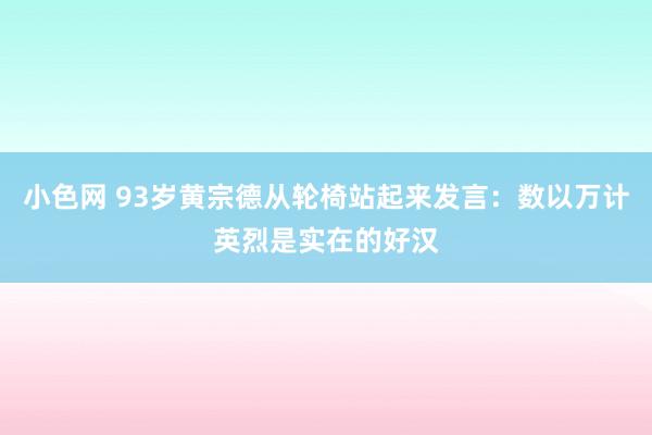 小色网 93岁黄宗德从轮椅站起来发言：数以万计英烈是实在的好汉