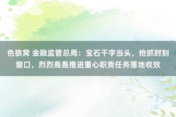 色狼窝 金融监管总局：宝石干字当头，抢抓时刻窗口，烈烈轰轰推进重心职责任务落地收效