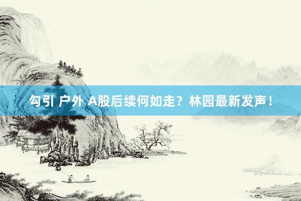 勾引 户外 A股后续何如走？林园最新发声！