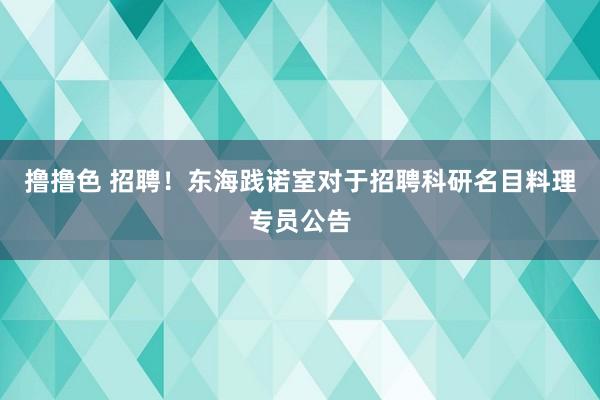 撸撸色 招聘！东海践诺室对于招聘科研名目料理专员公告