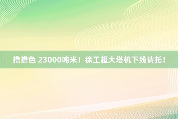 撸撸色 23000吨米！徐工超大塔机下线请托！