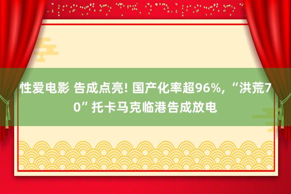 性爱电影 告成点亮! 国产化率超96%， “洪荒70”托卡马克临港告成放电