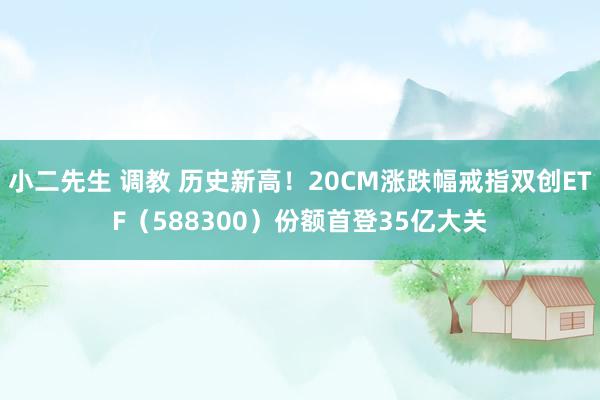 小二先生 调教 历史新高！20CM涨跌幅戒指双创ETF（588300）份额首登35亿大关