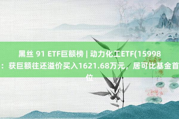 黑丝 91 ETF巨额榜 | 动力化工ETF(159981)：获巨额往还溢价买入1621.68万元，居可比基金首位