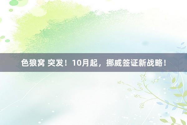 色狼窝 突发！10月起，挪威签证新战略！