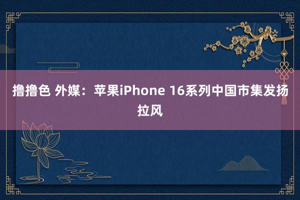 撸撸色 外媒：苹果iPhone 16系列中国市集发扬拉风