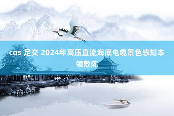 cos 足交 2024年高压直流海底电缆景色感知本领敷陈