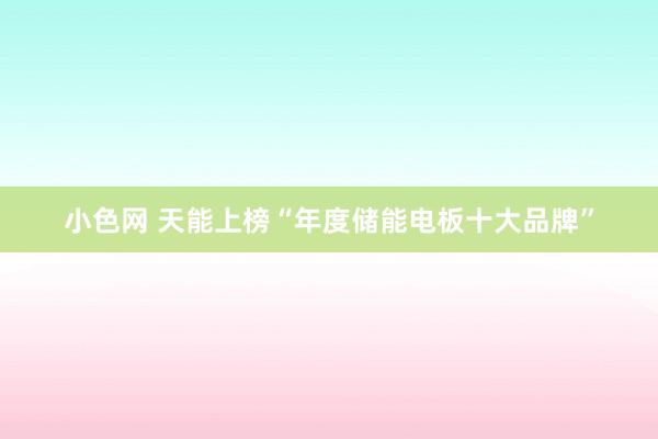 小色网 天能上榜“年度储能电板十大品牌”