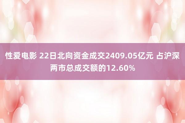 性爱电影 22日北向资金成交2409.05亿元 占沪深两市总成交额的12.60%