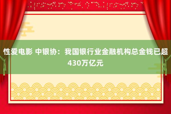 性爱电影 中银协：我国银行业金融机构总金钱已超430万亿元