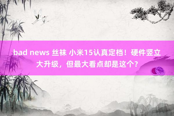 bad news 丝袜 小米15认真定档！硬件竖立大升级，但最大看点却是这个？