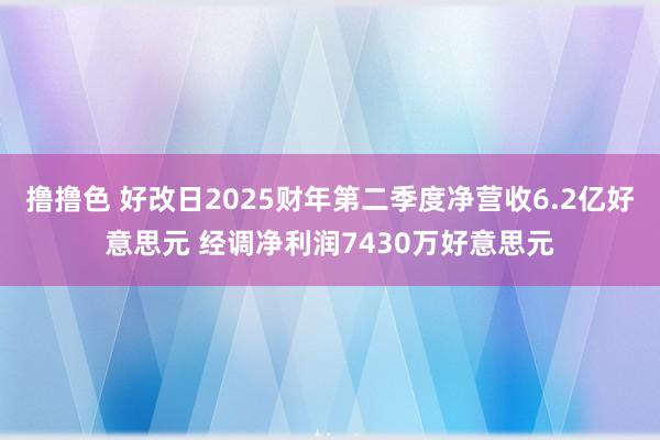 撸撸色 好改日2025财年第二季度净营收6.2亿好意思元 经调净利润7430万好意思元