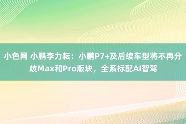 小色网 小鹏李力耘：小鹏P7+及后续车型将不再分歧Max和Pro版块，全系标配AI智驾