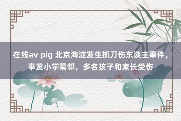 在线av pig 北京海淀发生抓刀伤东谈主事件，事发小学隔邻，多名孩子和家长受伤