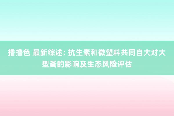 撸撸色 最新综述: 抗生素和微塑料共同自大对大型蚤的影响及生态风险评估