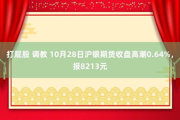 打屁股 调教 10月28日沪银期货收盘高潮0.64%，报8213元