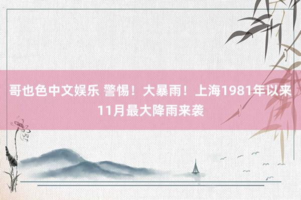 哥也色中文娱乐 警惕！大暴雨！上海1981年以来11月最大降雨来袭