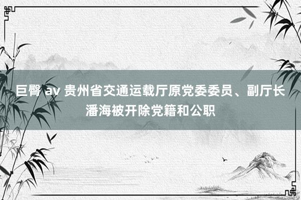 巨臀 av 贵州省交通运载厅原党委委员、副厅长潘海被开除党籍和公职