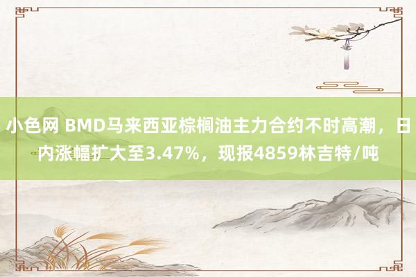 小色网 BMD马来西亚棕榈油主力合约不时高潮，日内涨幅扩大至3.47%，现报4859林吉特/吨