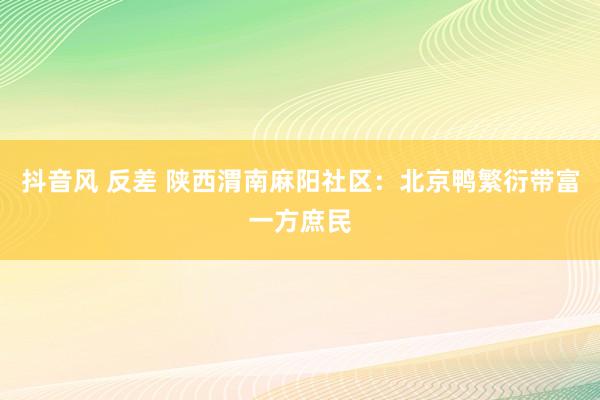 抖音风 反差 陕西渭南麻阳社区：北京鸭繁衍带富一方庶民