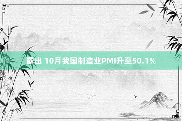 露出 10月我国制造业PMI升至50.1%