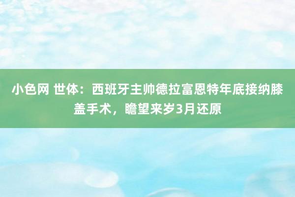 小色网 世体：西班牙主帅德拉富恩特年底接纳膝盖手术，瞻望来岁3月还原