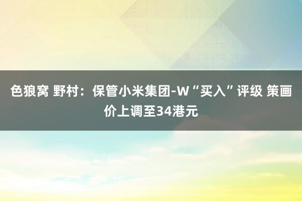 色狼窝 野村：保管小米集团-W“买入”评级 策画价上调至34港元